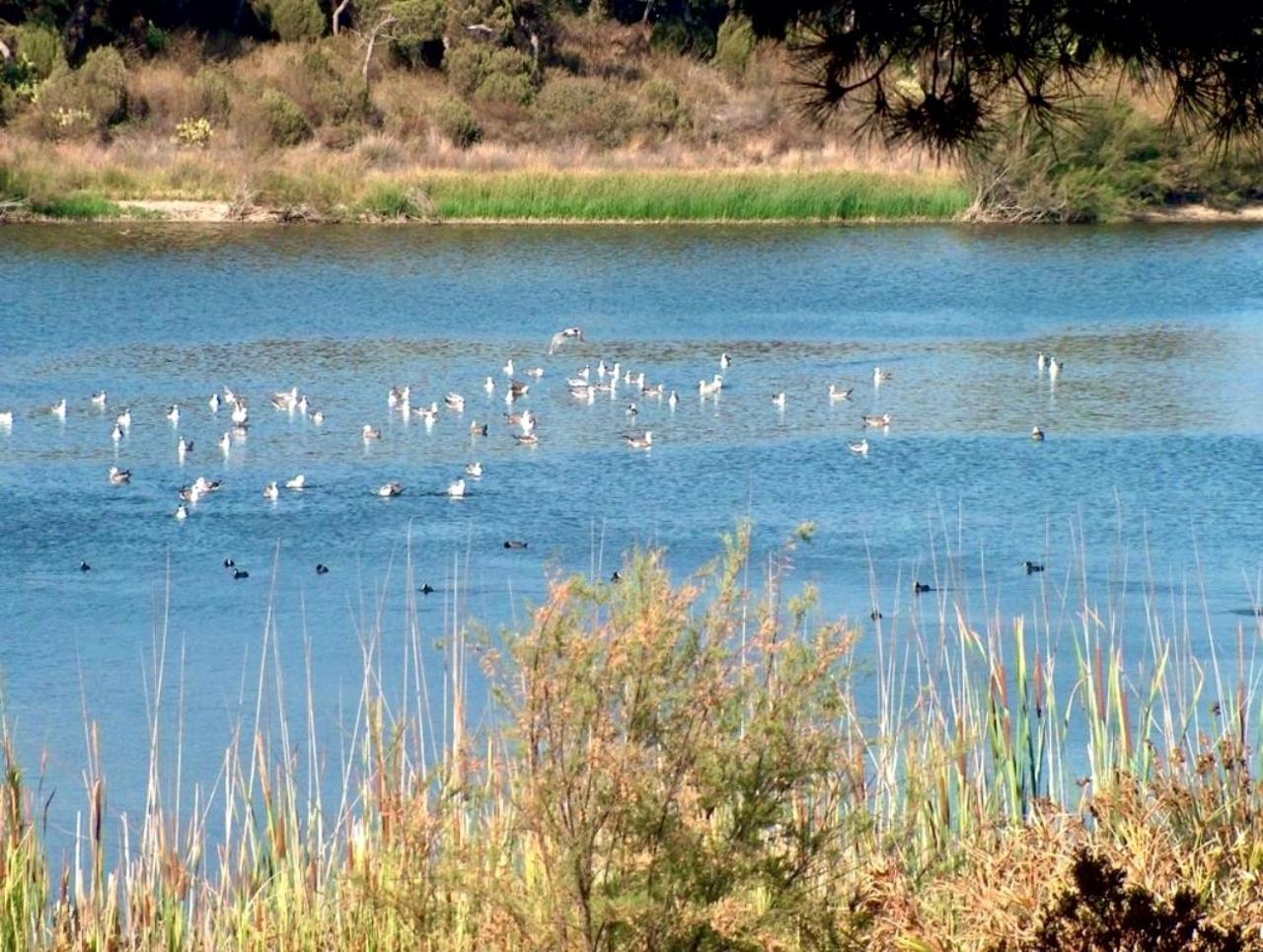 Paqo Lodge Laguna Del Portil, A 400 Metros De La Playa Εξωτερικό φωτογραφία